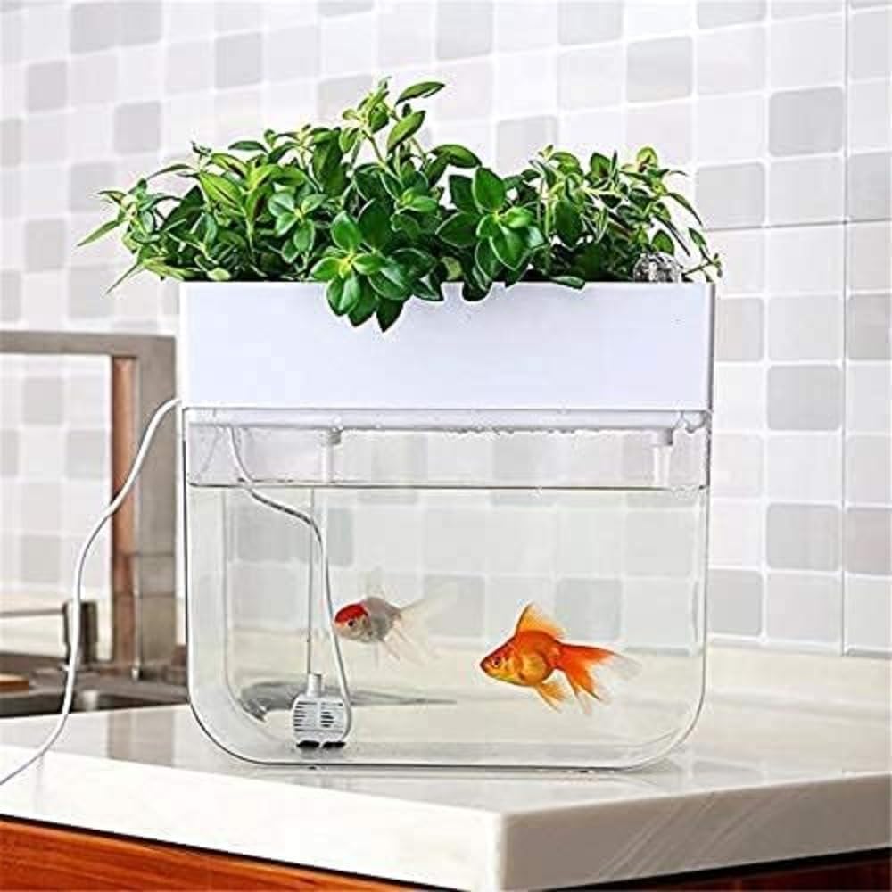 W450ガラス水槽20Lアクアリウム水槽アクアポニックス（観葉植物）仕様 Amazon | AZIEBAY アクアポニックス 水耕栽培システム おしゃれ
